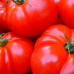 Fresh Red Tomatoes